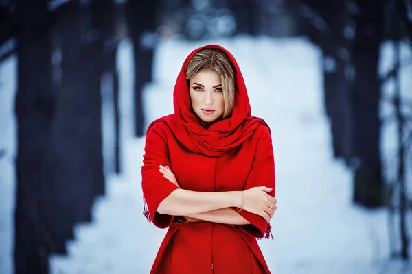 Menina Casaco Vermelho Inverno Floresta — Fotografia de Stock