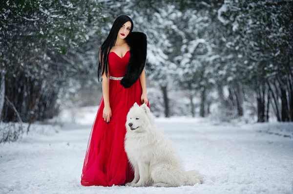 Girl Red Dog Winter Forest — Stock Photo, Image