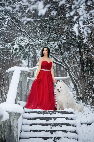 Kırmızılı Kızla Köpek Kış Orman Içinde — Stok fotoğraf