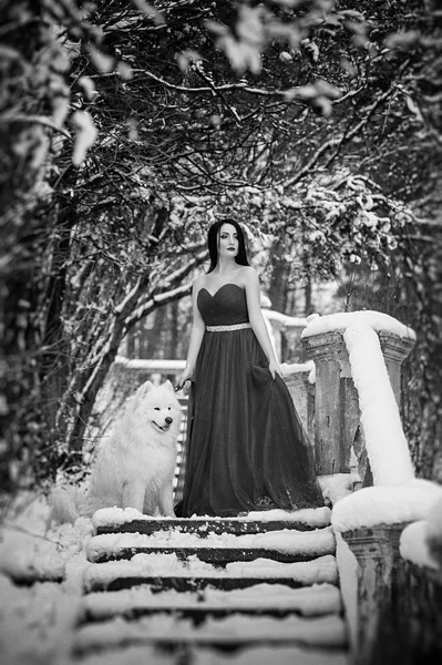 Fille Rouge Avec Chien Dans Forêt Hiver Noir Blanc — Photo