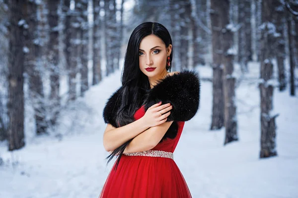Mädchen Roten Kleid Winterwald — Stockfoto