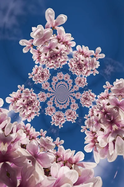 Kaleidoscopic Pattern Magnolia Tree Based Own Reference Image — Stock Photo, Image