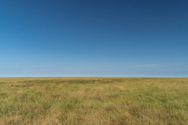 Beach, St. Peter-Ording üzerinde Almanya