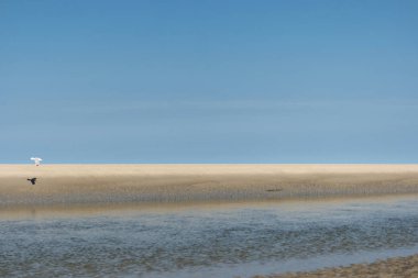 Beach, St. Peter-Ording üzerinde Almanya