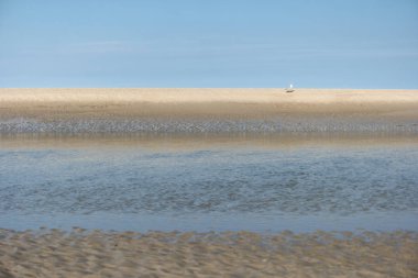 Beach, St. Peter-Ording üzerinde Almanya