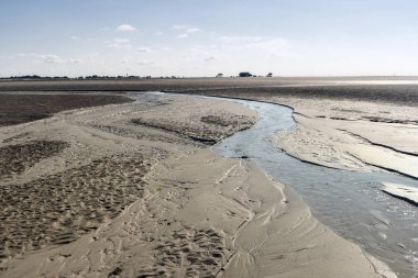 Beach, St. Peter-Ording üzerinde Almanya