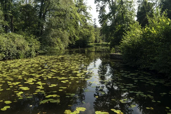 Landgoed Singraven Hollanda Temmuz 2018 Singraven Emlak Benzersiz Olarak Denekamp — Stok fotoğraf