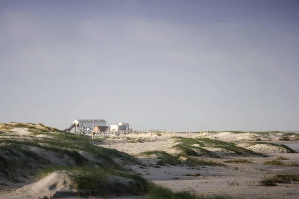 Den Stranden Peter Ording Tyskland — Stockfoto