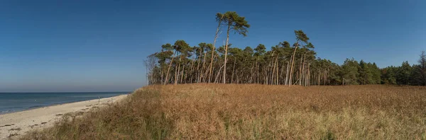 Панорама Узбережжя Дарса Німеччина — стокове фото