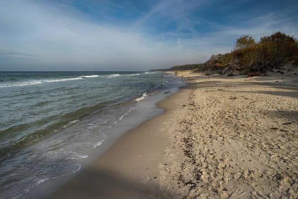 Baltic Sea Coast Darss Germany — Stock Photo, Image