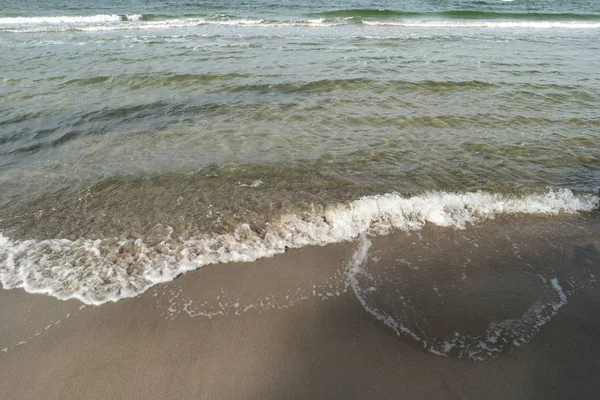 Baltic Sea Coast Darss Germany — Stock Photo, Image