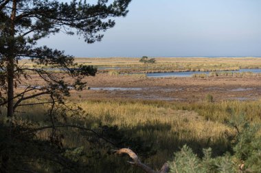 Darsser Ort Almanya 'da Darss Üzerinde