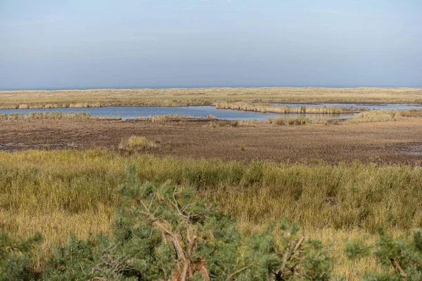 Darsser Ort Darss Niemczech — Zdjęcie stockowe