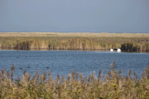 Darsser Ort Almanya 'da Darss Üzerinde