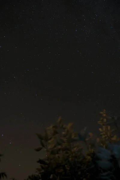 밤하늘은 독일에서 Fischland에 — 스톡 사진