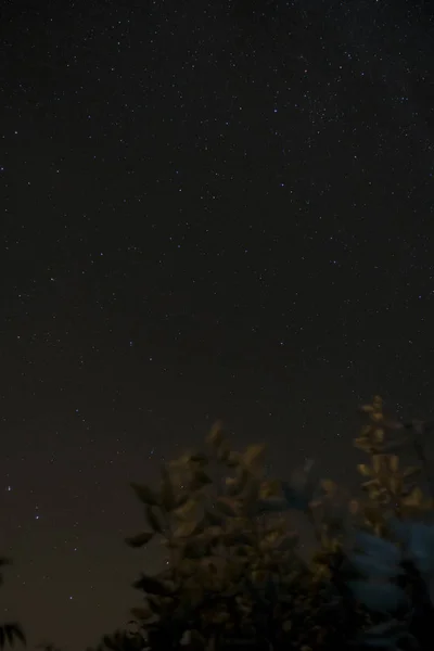 Céu Noturno Sobre Fischland Alemanha Com Láctea — Fotografia de Stock