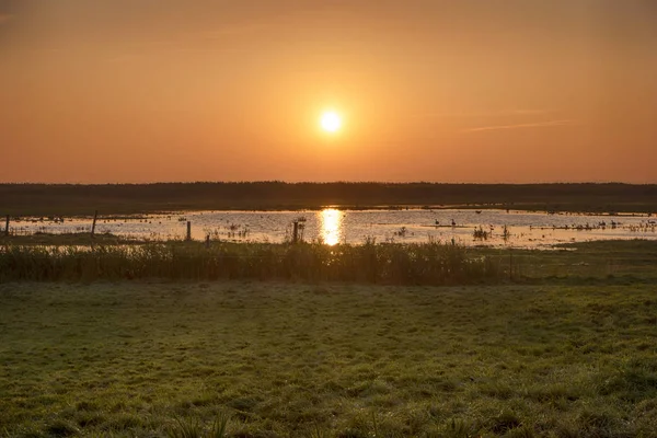 Sonnenaufgang Auf Fischland Deutschland — Stockfoto