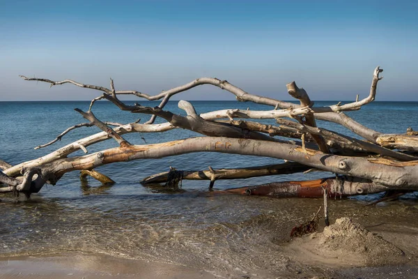 Балтійське Узбережжя Дарсі Німеччина — стокове фото