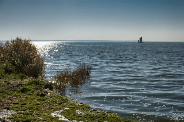 Bodden Auf Fischland Deutschland Rücklicht — Stockfoto