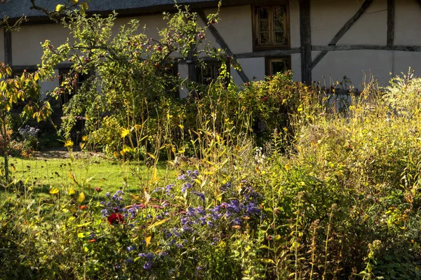 Giardino Contadino Fischland — Foto Stock