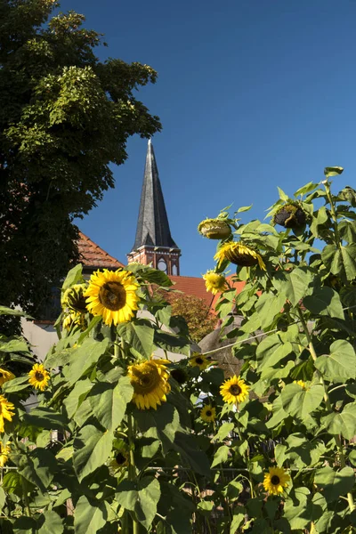 Kyrkans Torn Wustrow Fischland Tyskland — Stockfoto