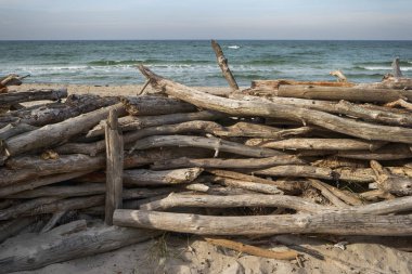Almanya 'da Darss' ta Baltık kıyıları