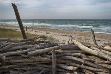 Almanya 'da Darss' ta Baltık kıyıları