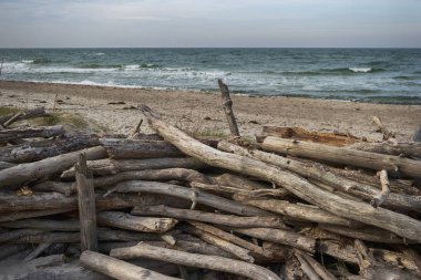 Almanya 'da Darss' ta Baltık kıyıları