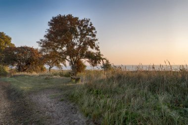 Almanya 'da, Fischland' da gün doğumu