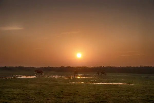 Восход Солнца Фишленде Германии — стоковое фото
