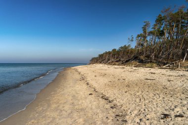 Almanya 'da Darss' ta Baltık kıyıları