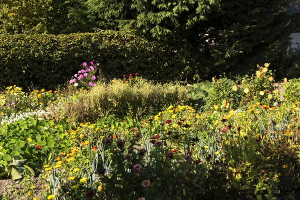 Bauerngarten Auf Fischland — Stockfoto