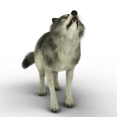 Bir Kurdun Dijital 3D Görünümü