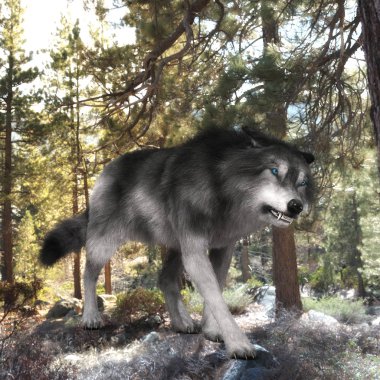 Bir Kurdun Dijital 3D Görünümü