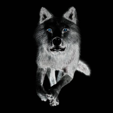 Bir Kurdun Dijital 3D Görünümü