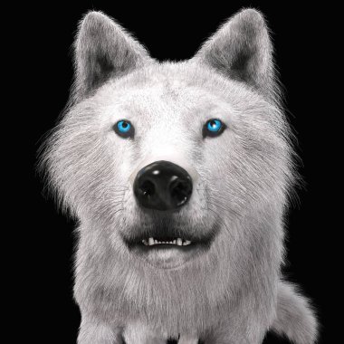 Bir Kurdun Dijital 3D Görünümü