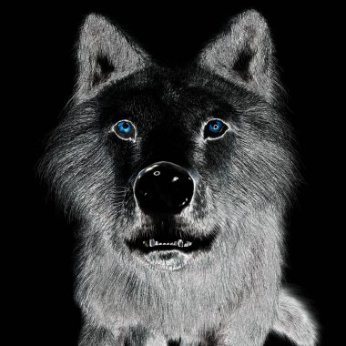 Bir Kurdun Dijital 3D Görünümü