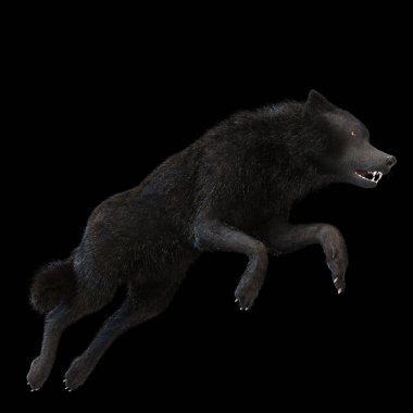 Bir Kurdun Dijital 3D Görünümü