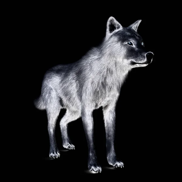 Ψηφιακή Τρισδιάστατη Απεικόνιση Ενός Λύκου — Φωτογραφία Αρχείου