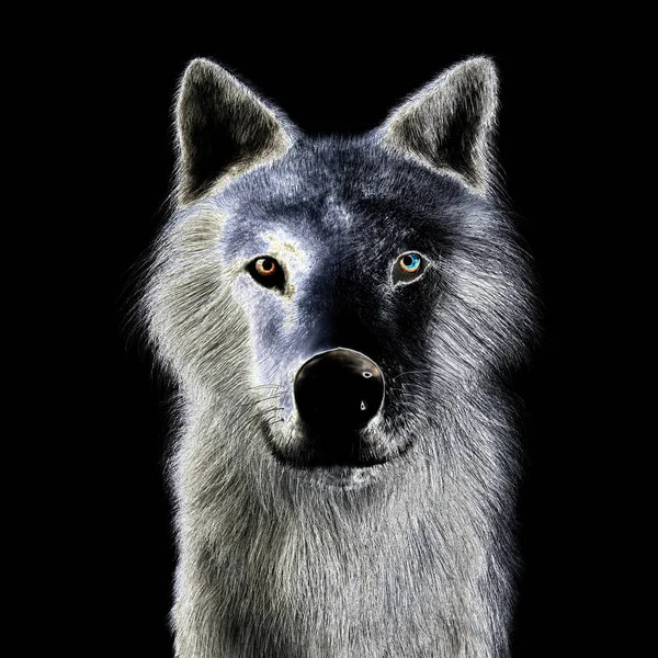 Digital Illustration Wolf — Stock Photo, Image