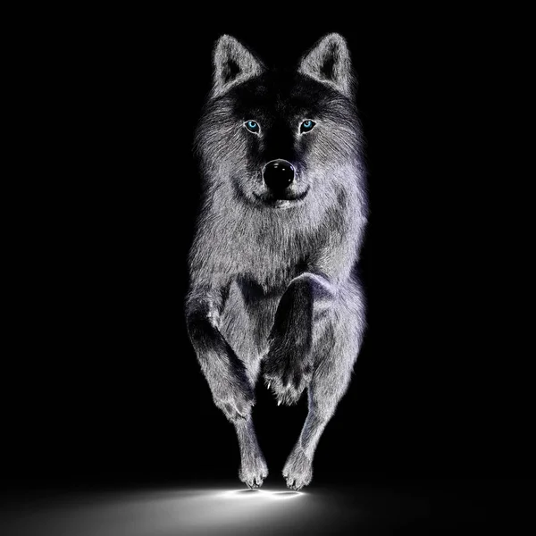 Ilustración Digital Lobo — Foto de Stock