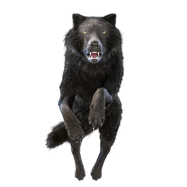 Digital Illustration Wolf — Fotografie, imagine de stoc