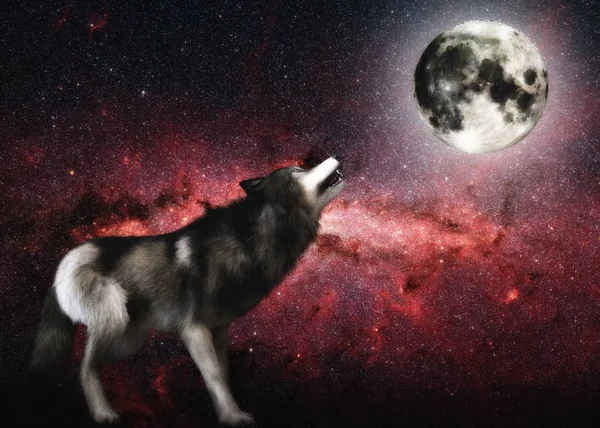 Digital Illustration Wolf Elements Nasa — Stock Photo, Image