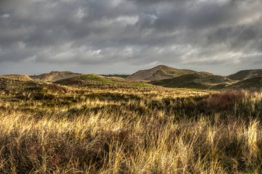 Almanya 'da Kuzey Frizya Adası' ndaki kum tepeleri