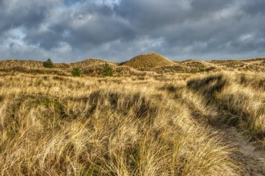 Almanya 'da Kuzey Frizya Adası' ndaki kum tepeleri