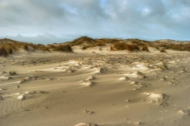 Almanya 'da Kuzey Frizya Adası' ndaki kum tepeleri