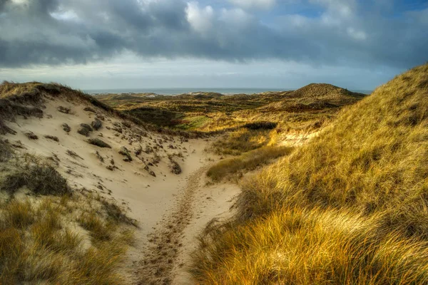 Dune Sull Isola Della Frisia Settentrionale Amrum Germania — Foto Stock