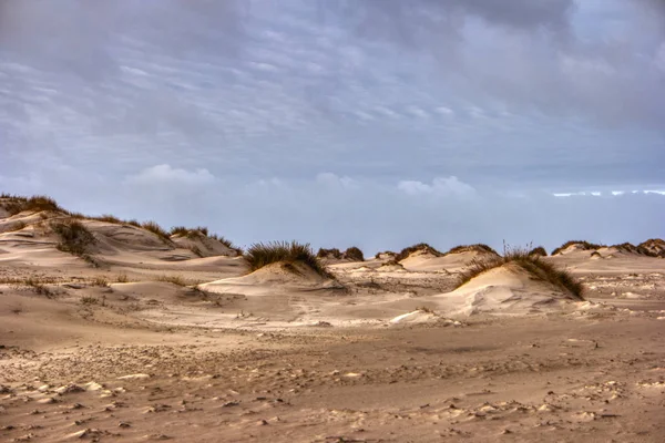 Θίνες Στο Βόρειο Frisian Island Amrum Στη Γερμανία — Φωτογραφία Αρχείου