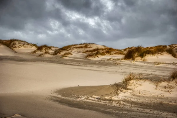 ドイツの北フリジア島アムラムの砂丘 — ストック写真