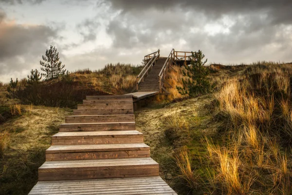 Dunes North Frisian Island Amrum Germany — Stock Photo, Image